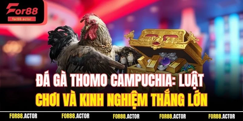 Đá Gà Thomo Campuchia - Kinh Nghiệm Thắng Lớn Tai For88