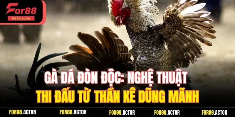 Gà Đá Đòn Độc For88 - Nghệ Thuật Thi Đấu Thần Kê Dũng Mãnh